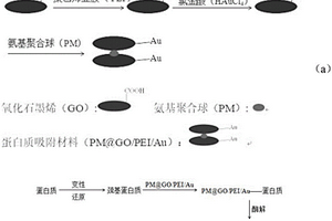 蛋白質吸附材料及其制備及應用