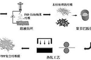 具有定向水傳輸功能的多層纖維膜及其制備方法