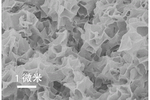 異質多孔超薄MoNi<Sub>4</Sub>/MoO<Sub>2</Sub>二維納米片及其制備方法和應用