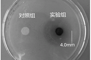 緩釋型細菌纖維素基抗菌劑的制備方法