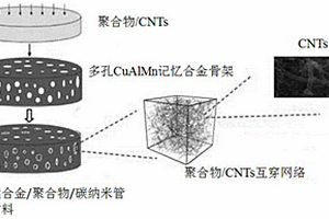 銅鋁錳合金/聚合物/碳納米管阻尼材料及制備方法