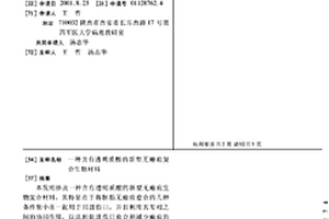 含有透明質酸的新型無瘢痕復合生物材料