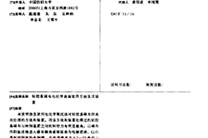 粘膠基碳布電化學表面處理方法及其裝置
