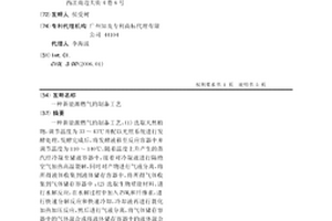 新能源燃氣的制備工藝