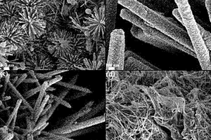 ZTO?ZnO/CBS?GSs柔性薄膜太陽能電池及其制備方法
