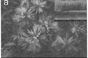 具有三維分級結構的TiO2納米線/微米花光陽極的制備方法