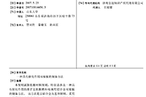 具有催化作用雙極板的制備方法