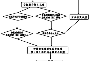 制備全氟磺酸離子交換膜的方法