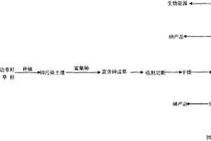 用生物技術從砷污染土壤中提取砷和可燃氣的方法