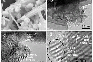 MoSe<sub>2</sub>-CdS/CdSe復合光催化劑及其制備方法