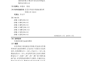 生物質納米汽油液體燃料