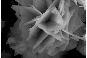 片狀g-C<sub>3</sub>N<sub>4</sub>復合花瓣狀BiOBr光催化材料的制備方法