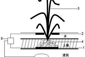 綠色屋頂系統
