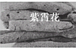 釩酸鉍的制備方法