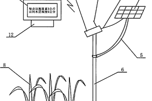 色彩傳感器在晚稻栽培三黑三黃方法中的應用裝置