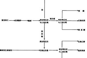 用紫莖澤蘭提取精油、綠原酸、黃酮、生物農藥、生物乙醇、腐植酸、超類黑素的方法