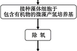 提高微藻產氫效率的方法