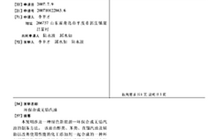 環保合成無鉛汽油