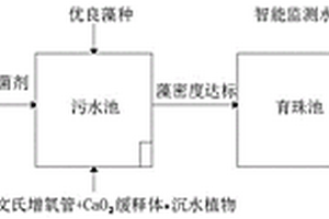 智慧養殖珍珠蚌和微生物協同凈化微污染水體方法