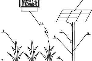 帶太陽能光伏發電向化學傳感器供電的肥水調控裝置