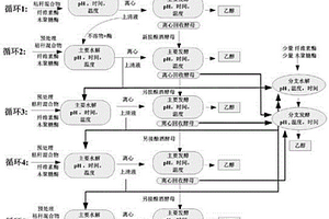 提高利用玉米秸稈生產燃料乙醇產量的水解發酵工藝