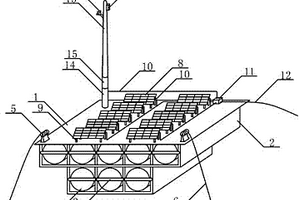 在帶拋錨的插入式聯排浮筒平臺上建造太陽能光伏電站