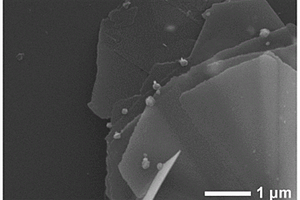 Ag/α-Co(OH)<Sub>2</Sub>析氧催化劑的制備方法