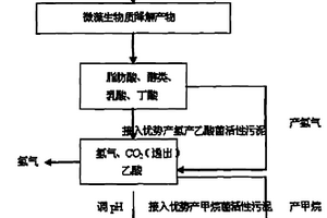 微藻兩步法生產生物能源