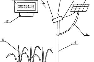 色彩傳感器在晚稻栽培三黑三黃方法中的應用裝置