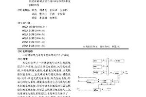 清潔氫與可再生能源氫聯合生產系統