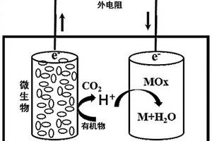 微生物燃料電池陰極、制備方法及其應用