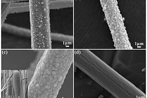 水燭香蒲狀MoS<Sub>2</Sub>/碳納米纖維復合材料及其制備方法和應用