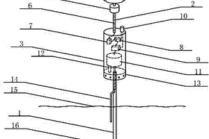以風力發電作為供電源的池塘驅蚊器