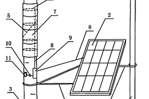 太陽能光伏發電系統應用在蘋果樹嫁接上的養護裝置