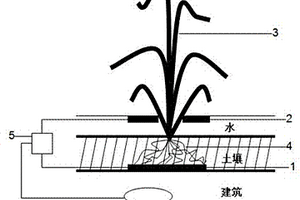 可產生電能的綠色屋頂系統及應用