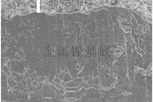 金屬鋰負極、其制備方法和包含該金屬鋰負極的鋰電池