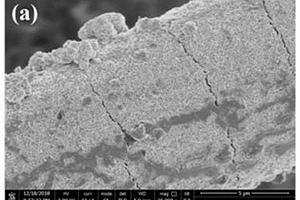 CNFs負載MoS<sub>2</sub>新型鎂-鋰雙鹽電池正極材料及其構筑方法