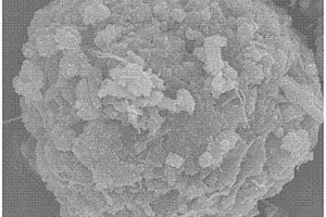 鋰離子電池負極材料VO2/CNTs微球的制備方法