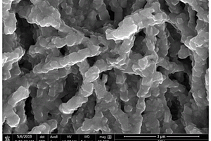 錳酸鋰、鈦酸鋰與TiO<Sub>2</Sub>復合物納米線及其制備方法