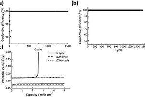 雙氟磺酰亞胺鋰/1,3-二氧五環鋰電池凝膠電解液及其制備方法和電池
