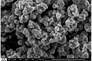 小粒徑補鋰添加劑Li<Sub>5</Sub>FeO<Sub>4</Sub>的制備方法和應用