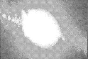 Zr、Mg共摻鐵鈮酸鋰晶體的制備方法