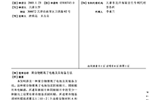 聚合物锂离子电池及其制备方法