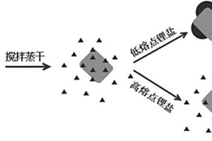 鋰鹽摻合納米碳酸鈣的二氧化碳吸附劑前驅體及其應用