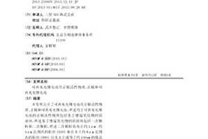 可再充电锂电池用正极活性物质、正极和可再充电锂电池