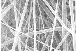 鋰離子電池薄膜原位制備方法、鋰離子電池薄膜以及電池