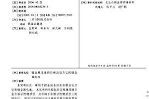 锂金属电池的负极及包含它的锂金属电池