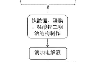 柔性鋰離子電池及網絡狀鈦酸鋰電極結構的制備方法
