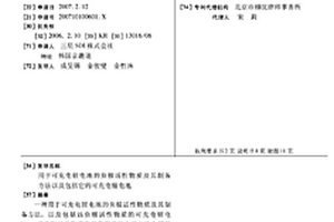 用于可充电锂电池的负极活性物质及其制备方法以及包括它的可充电锂电池