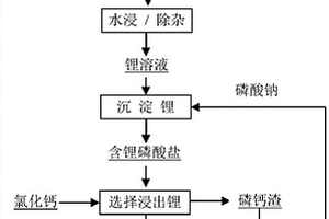 從廢舊鋰離子電池正極活性材料生產富鋰凈液的方法